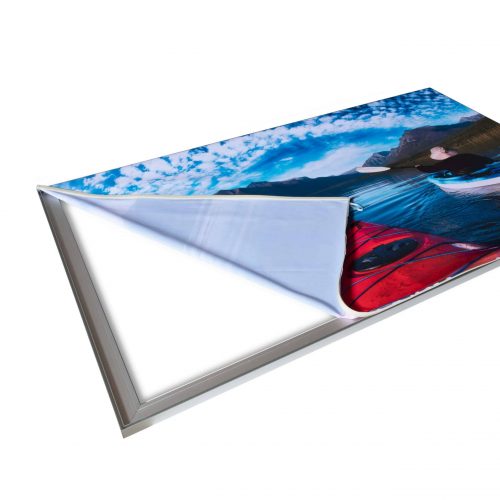 Global SEG Fabric Production Moss