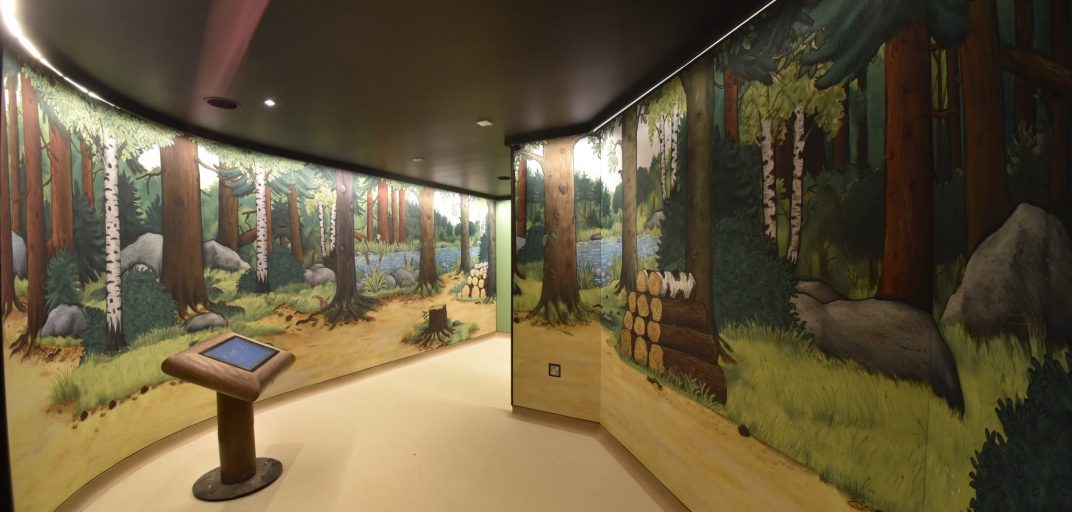 Gruffalo Land Interior